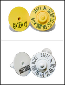 Gateway & AngusSource RFID tags