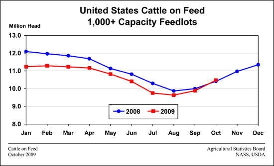 Cattle on Feed