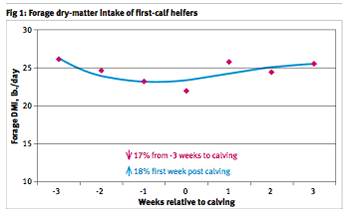 Forage dry-matter intake of first-calf heifers