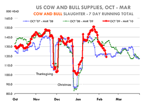 U.S. Cow & Bull Supplies
