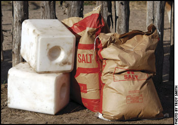 salt: blocks & bags