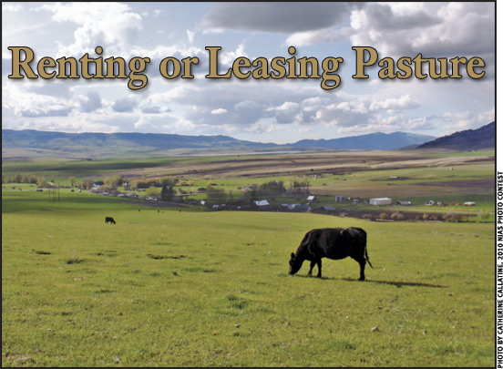 Renting or Leasing Pasture
