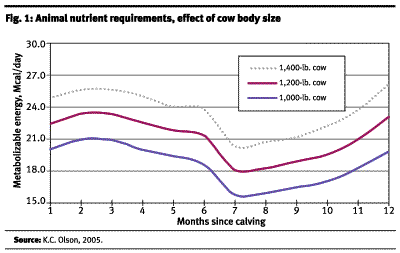 Figure 1: Animal nutrient requirements, effect of cow body size