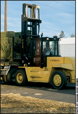 hay for export