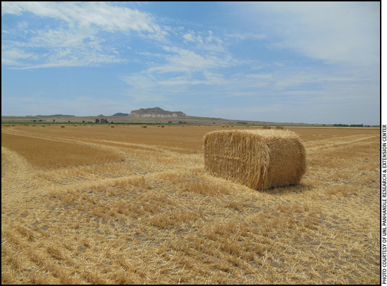 Wheat bales in Nebraska