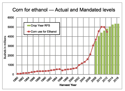 Corn for ethanol