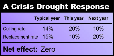 crisis drought response