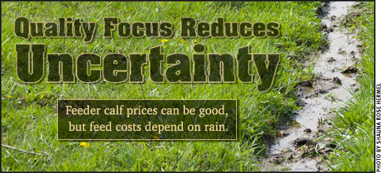 Quality Focus Reduces Uncertainty: Feeder calf prices can be good, but feed costs depend on rain.