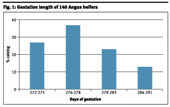 Fig. 1: Gestation length of 140 Angus heifers