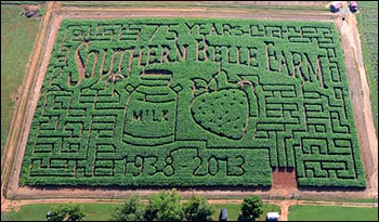 Southern Belle corn maze