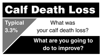 Calf death loss