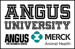 Angus University