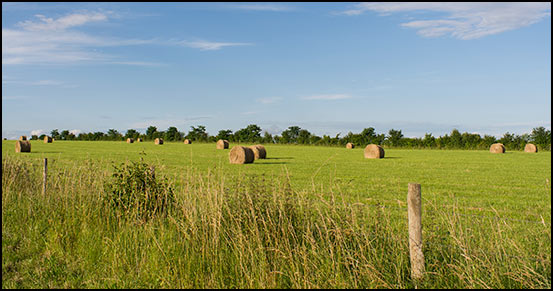 0515mg-istock-hay-bales.jpg