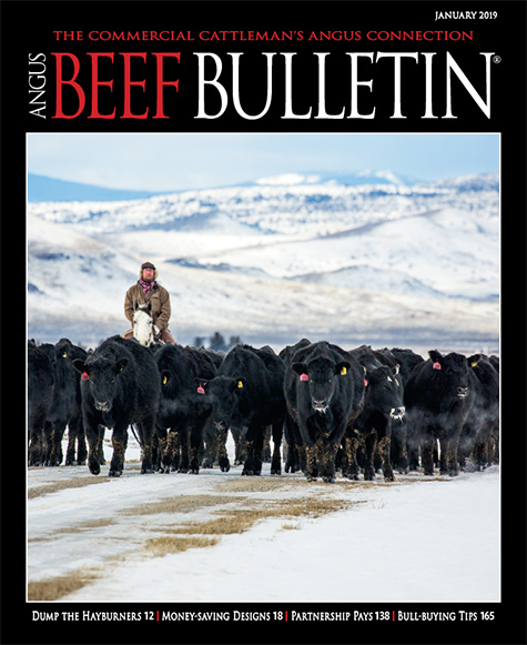 January Angus Beef Bulletin cover.