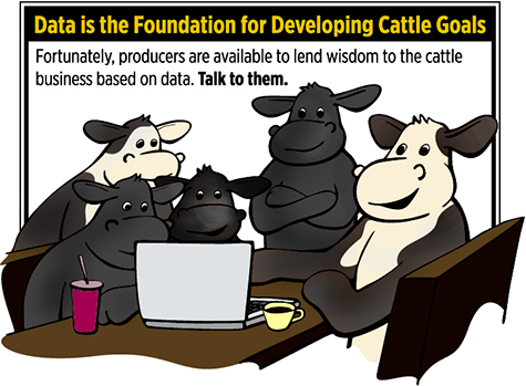 Cattle Goals