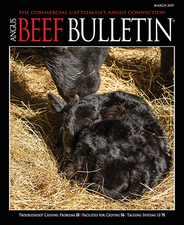 Angus Beef Bulletin