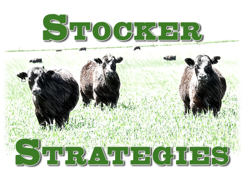 Stocker Strategies