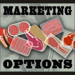 Marketing Options