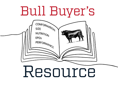 Bull buyer's resource