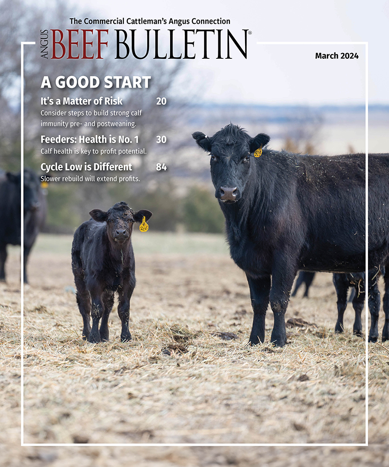 2024 March Angus Beef Bulletin