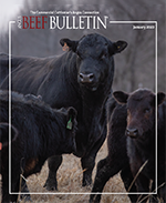 January 2023 Beef Bulletin