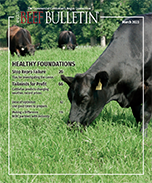 March 2023 Beef Bulletin