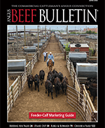 March 2021 Beef Bulletin