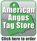 Angus Tag Store