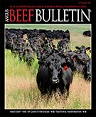 Subscribe to the Angus Beef Bulletin
