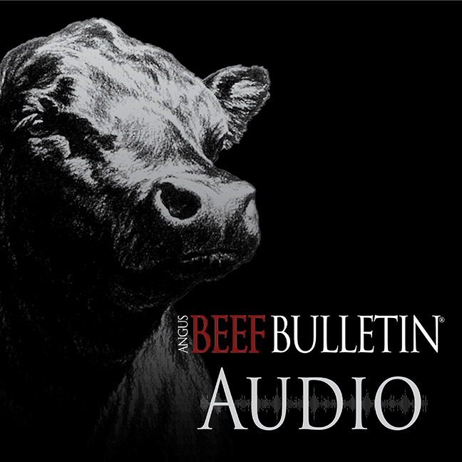 Angus Beef Bulletin audio