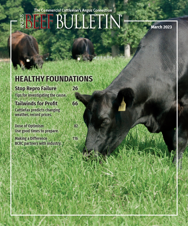 March 2023 Angus Beef Bulletin