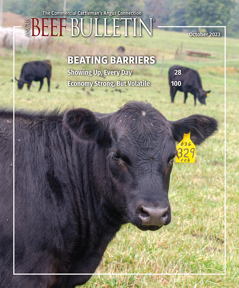 2023 Feeder Calf Marketing Guide