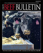 January 2021 Beef Bulletin