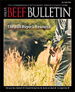 January 2022 Beef Bulletin