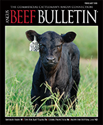 February 2021 Beef Bulletin