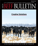 February 2022 Beef Bulletin