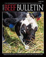 March 2021 Beef Bulletin