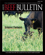 March 2022 Beef Bulletin