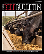 September 2022 Beef Bulletin