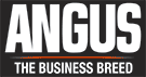 Angus — The Business Breed