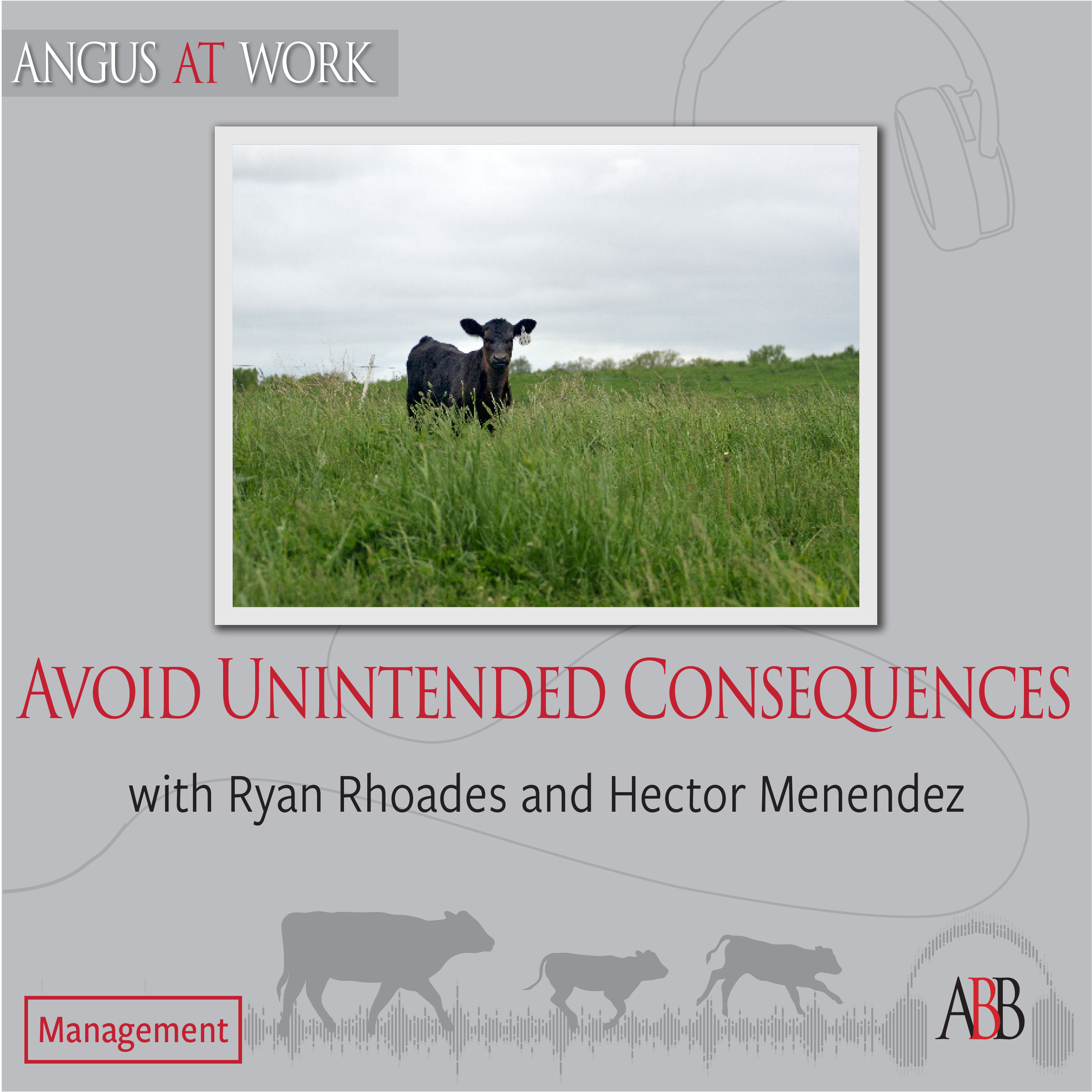 Avoid unintended consequences